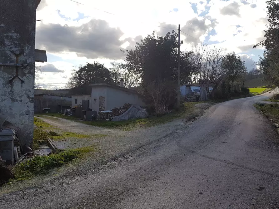 Immagine 3 di Rustico / casale in vendita  a Senigallia