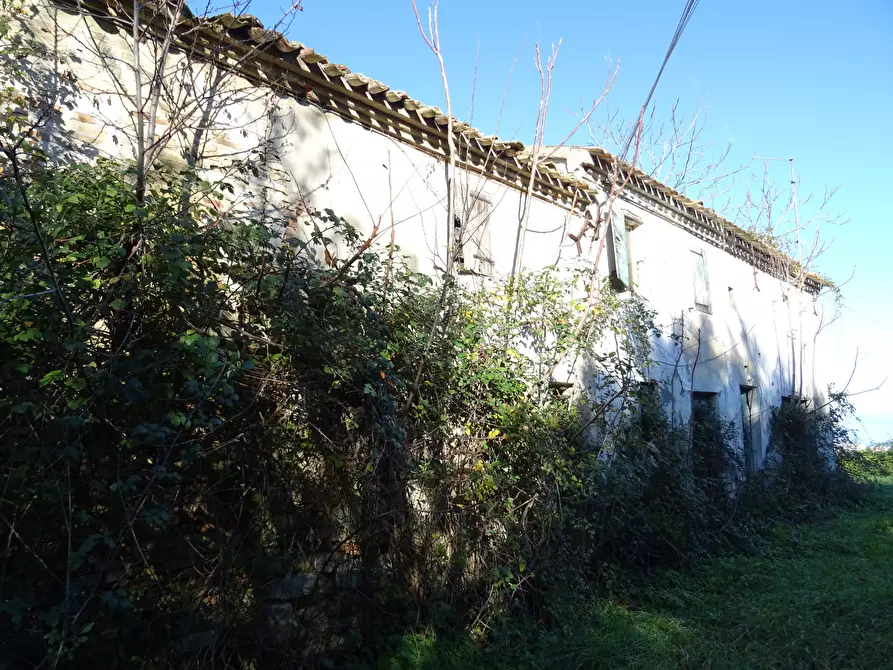 Immagine 6 di Rustico / casale in vendita  a Senigallia