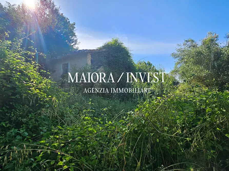 Immagine 9 di Terreno agricolo in vendita  in Contrada Pianelle a Monsampolo Del Tronto