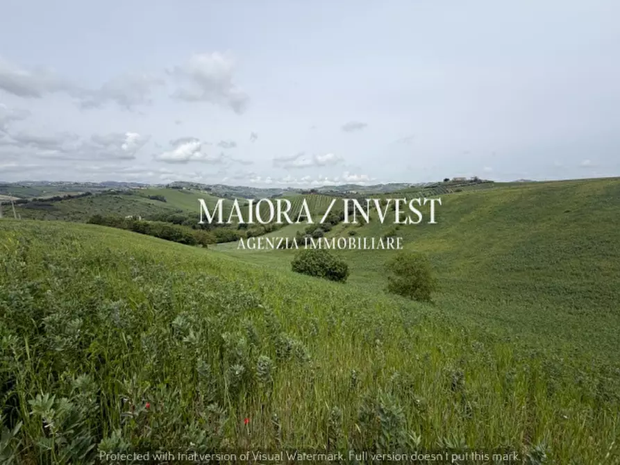 Immagine 17 di Rustico / casale in vendita  a Acquaviva Picena