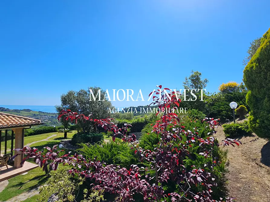 Immagine 4 di Villa in vendita  a Acquaviva Picena