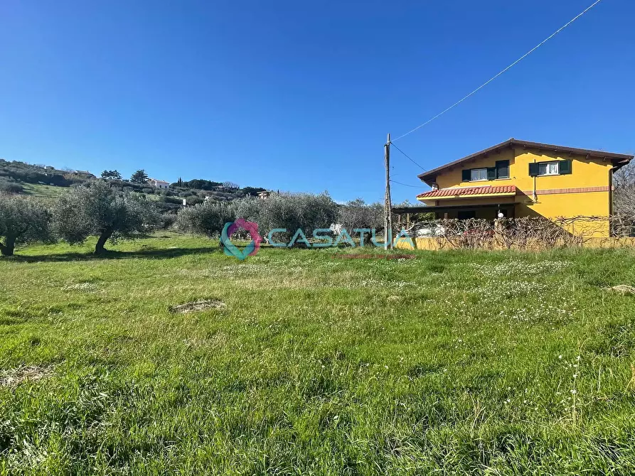 Immagine 19 di Terreno agricolo in vendita  a Silvi