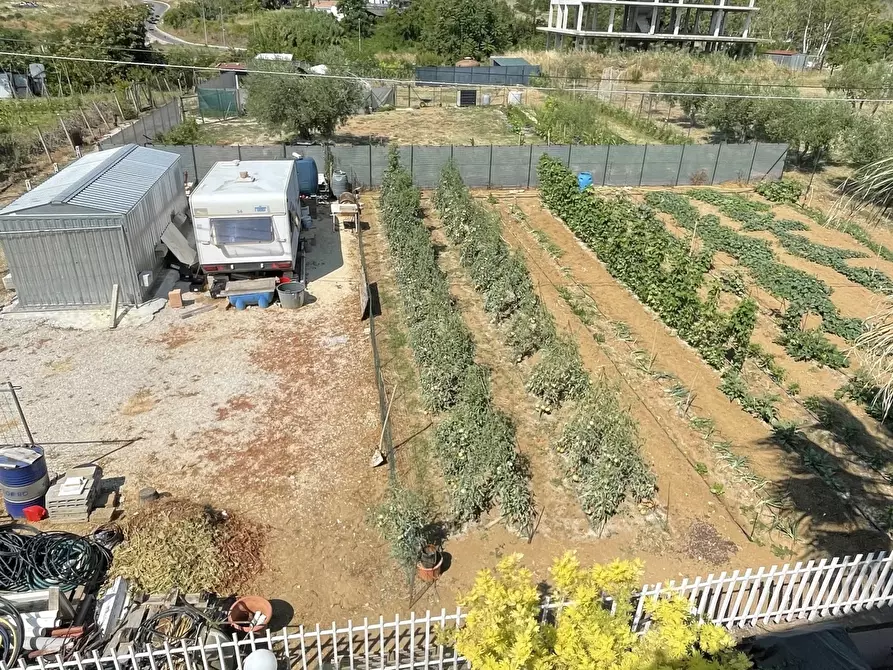 Immagine 19 di Terreno industriale in vendita  a Città Sant'angelo