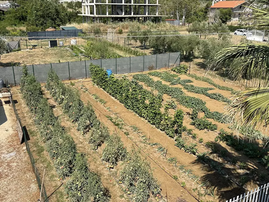 Immagine 22 di Terreno industriale in vendita  a Città Sant'angelo
