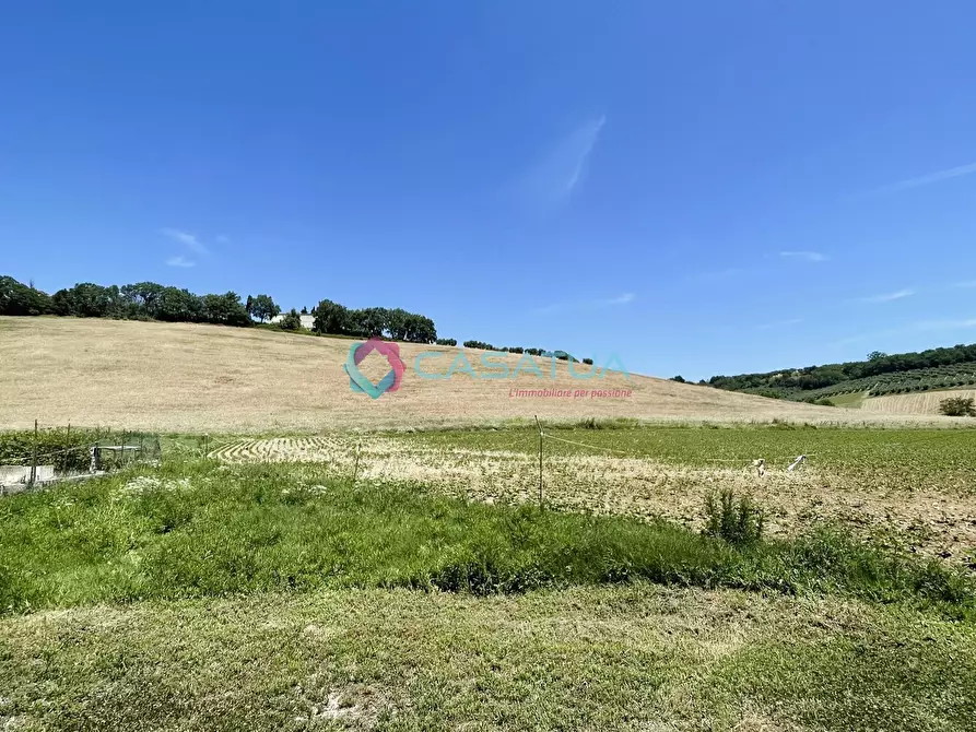 Immagine 43 di Villa in vendita  a Castellalto