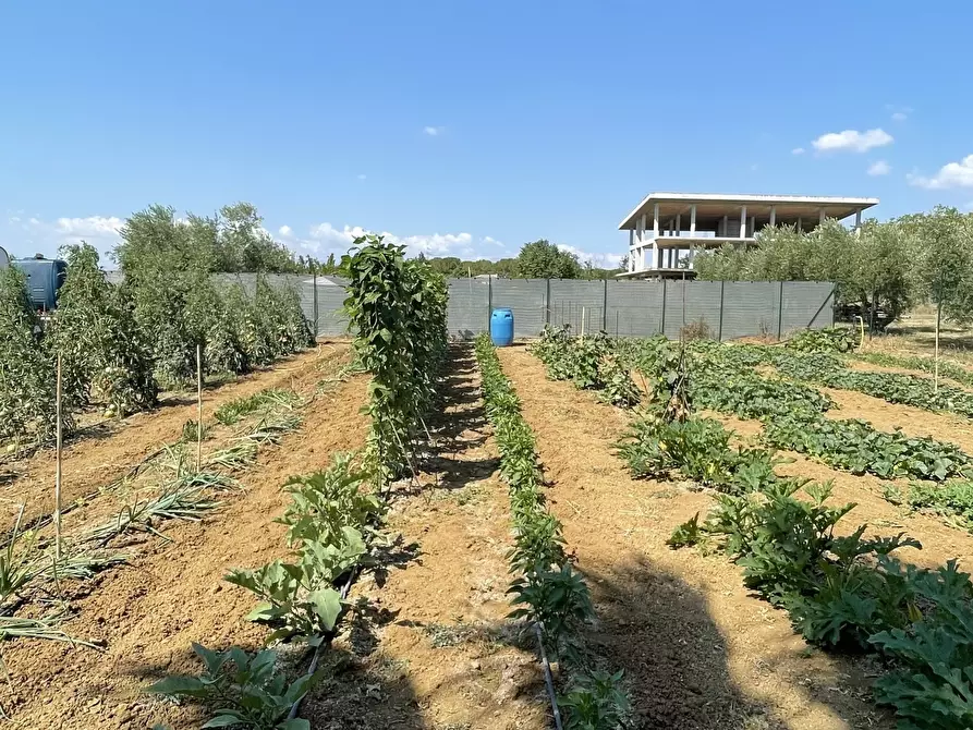 Immagine 4 di Terreno industriale in vendita  a Città Sant'angelo