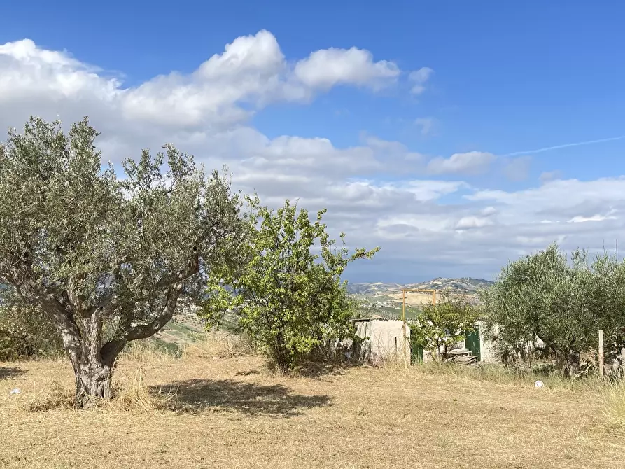 Immagine 16 di Terreno agricolo in vendita  a Silvi