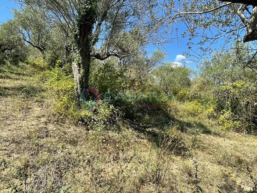 Immagine 27 di Casa indipendente in vendita  a Civitella Casanova