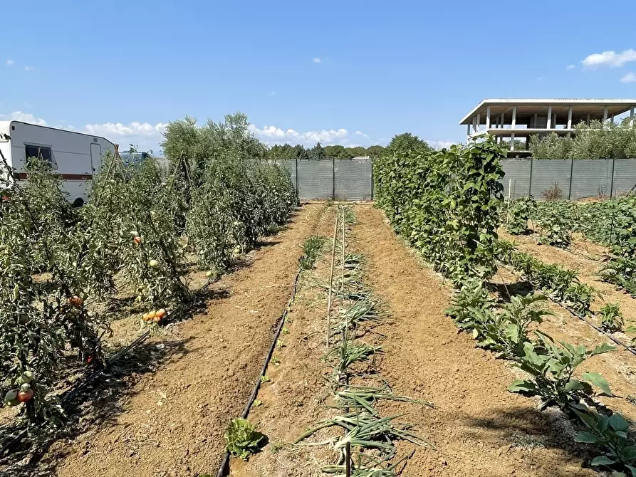Immagine 2 di Terreno industriale in vendita  a Città Sant'angelo