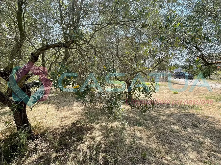 Immagine 8 di Terreno agricolo in vendita  in Contrada Piomba 22 a Silvi