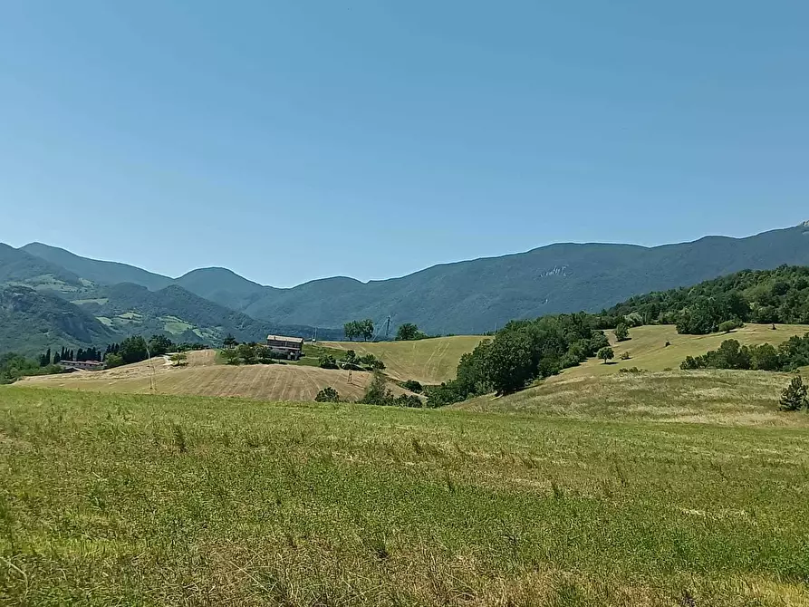 Immagine 11 di Terreno agricolo in vendita  a Farindola