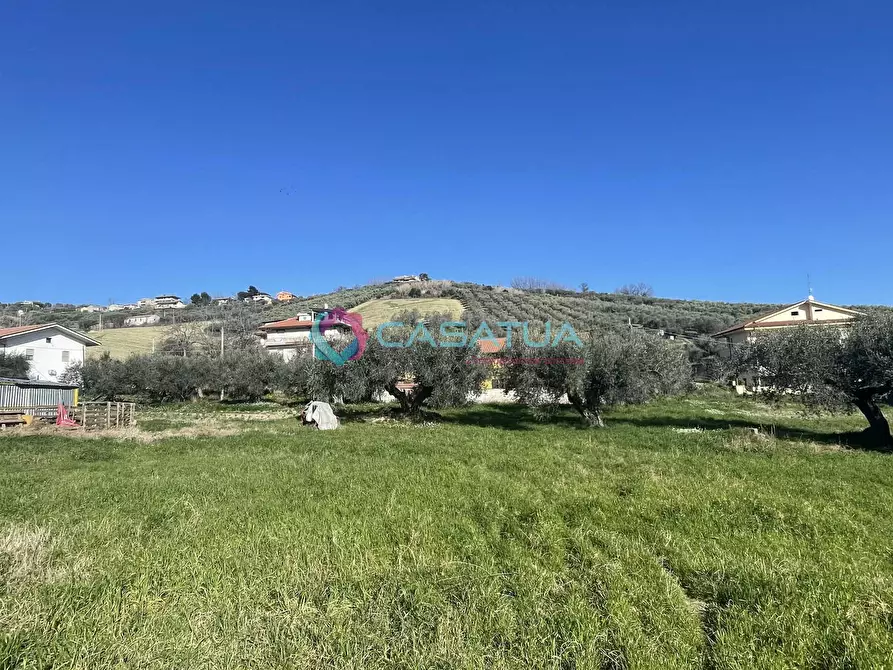 Immagine 6 di Terreno agricolo in vendita  a Silvi