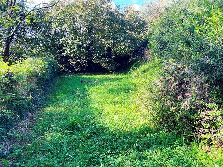 Immagine 21 di Villa in vendita  in Via Ghigliolo Alto 26 a Sarzana