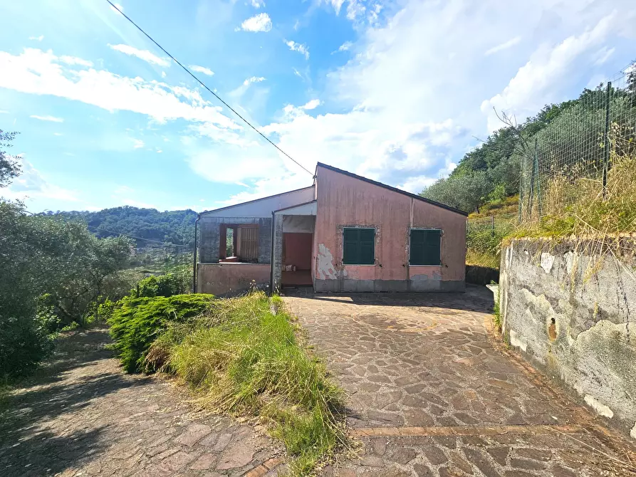 Immagine 35 di Villa in vendita  in Via dei Molini 202 a Sarzana