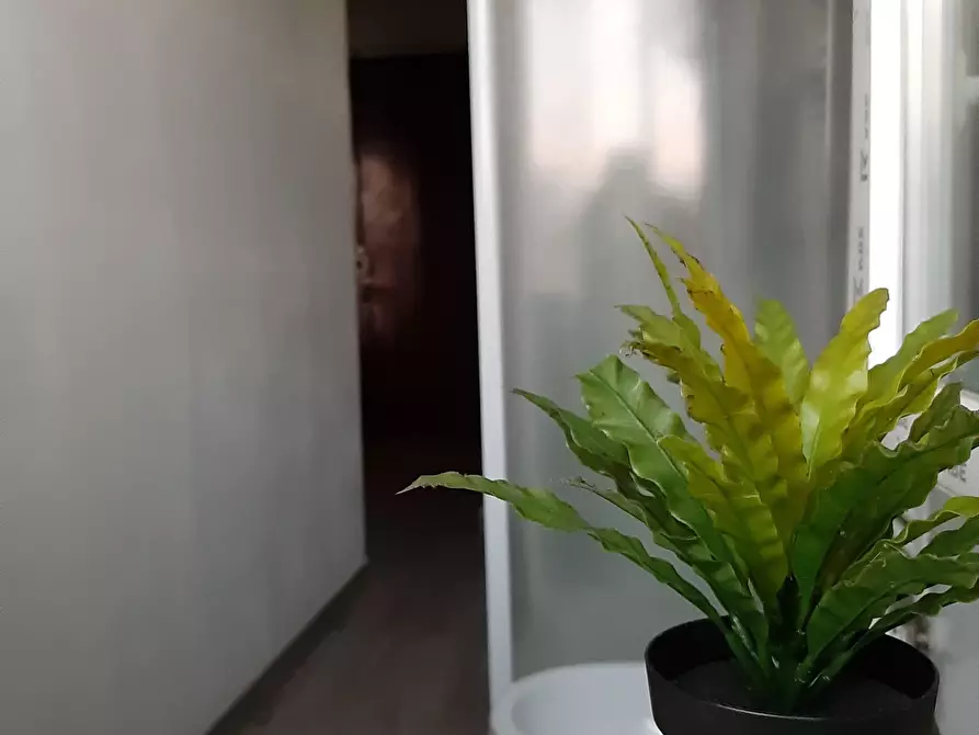 Immagine 16 di Trilocale in vendita  in Via Vittorio Asinari di Bernezzo 91 bis a Torino