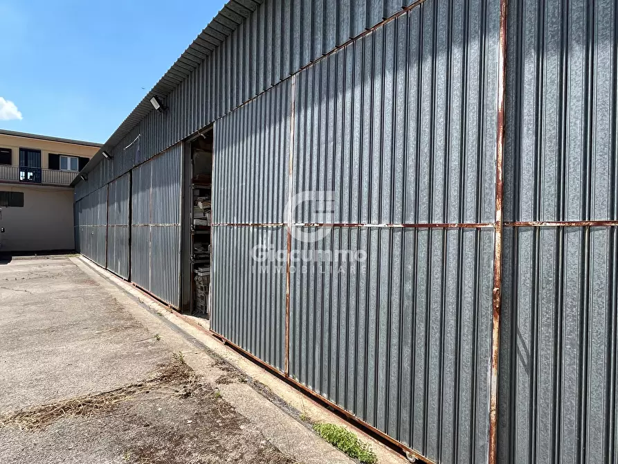 Immagine 4 di Capannone industriale in vendita  a Tito