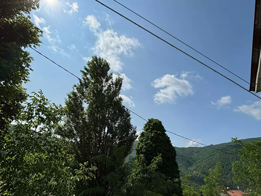 Immagine 30 di Casa indipendente in vendita  a Terenzo