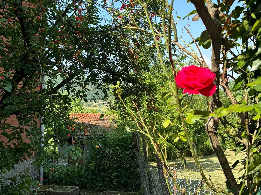 Immagine 3 di Porzione di casa in vendita  a Terenzo