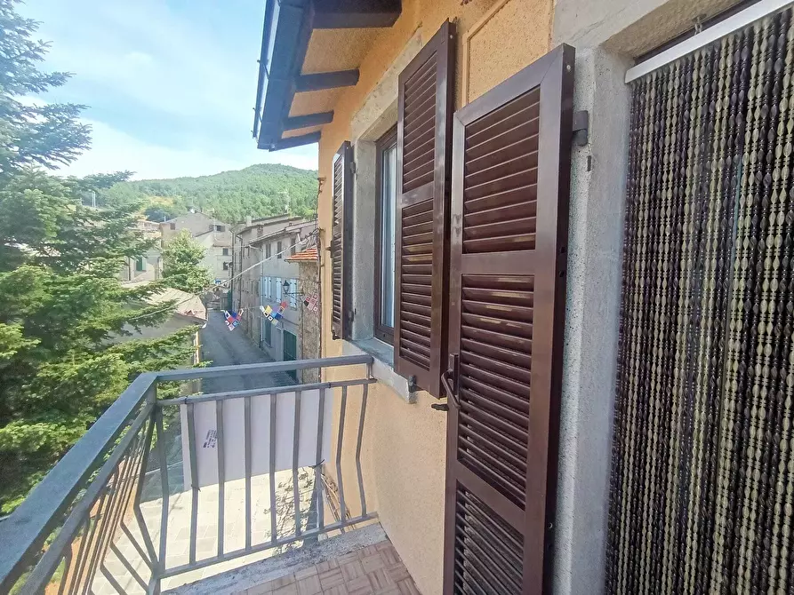 Immagine 32 di Terratetto in vendita  a Terenzo