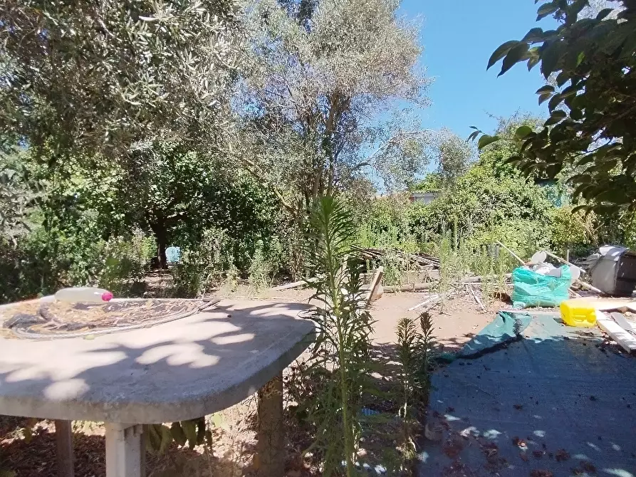 Immagine 5 di Rustico / casale in vendita  in via dell gardenie 33 a Aprilia