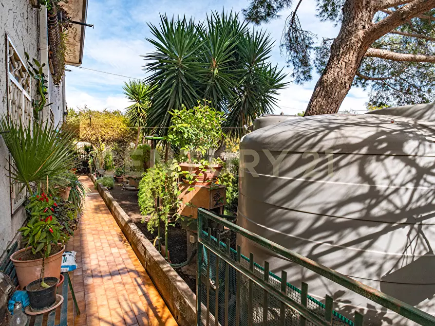 Immagine 23 di Pentalocale in vendita  in Via Pulei 49A a Mascalucia