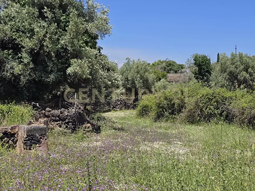 Immagine 58 di Terreno agricolo in vendita  in Vico Agatino De Marco a Gravina Di Catania