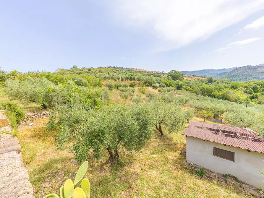 Immagine 36 di Rustico / casale in vendita  in via mercorano 1 a San Gregorio Da Sassola