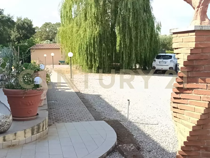 Immagine 3 di Rustico / casale in vendita  in località Sant'Andrea 17 a Gavorrano