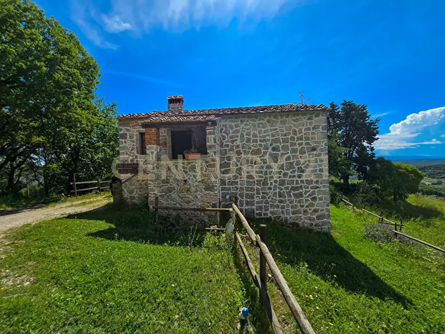 Immagine 2 di Rustico / casale in vendita  in podere le rocchette snc a Roccastrada