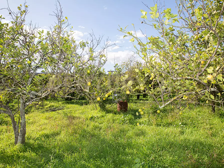 Immagine 22 di Terreno agricolo in vendita  in Via San Piero Patti 108 a Acireale