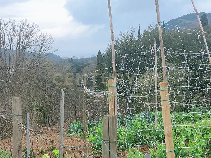Immagine 20 di Rustico / casale in vendita  in Via del Campone 124 a Monte Argentario