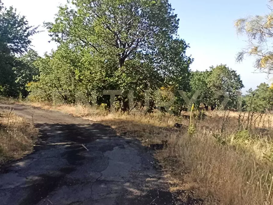Immagine 45 di Terreno agricolo in vendita  in C.da Filiciusa a Biancavilla