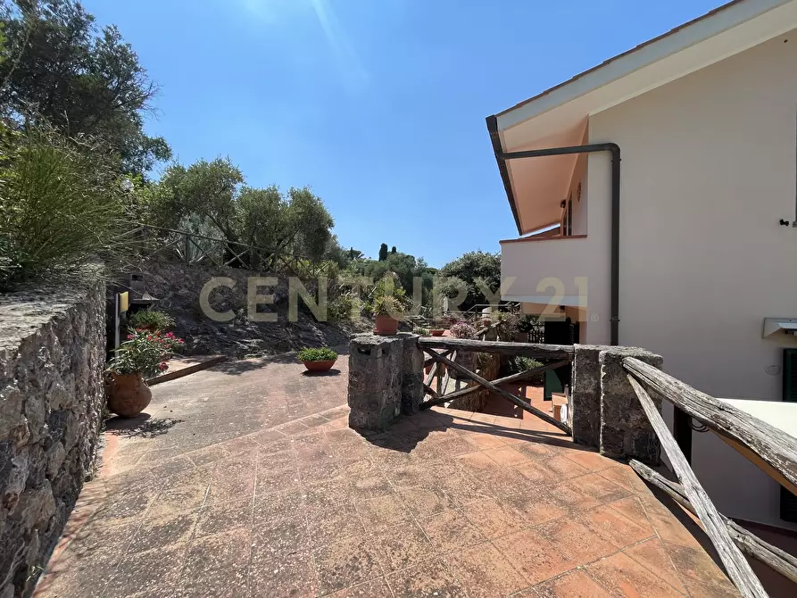 Immagine 37 di Trilocale in vendita  in Via della cacciarella a Monte Argentario