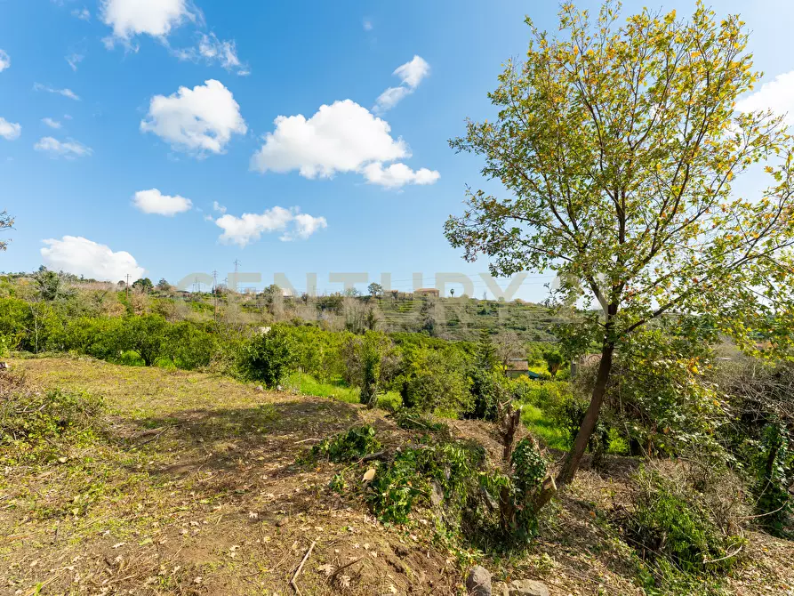 Immagine 13 di Terreno agricolo in vendita  in via giuseppe zinghirino 1 a Giarre