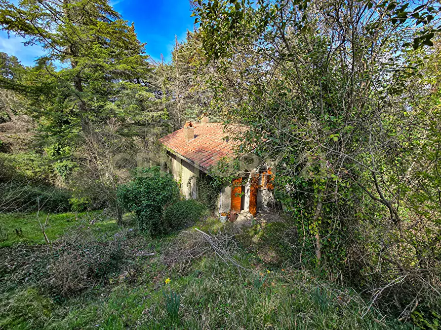 Immagine 23 di Rustico / casale in vendita  in Strada Provinciale 7 a Cinigiano
