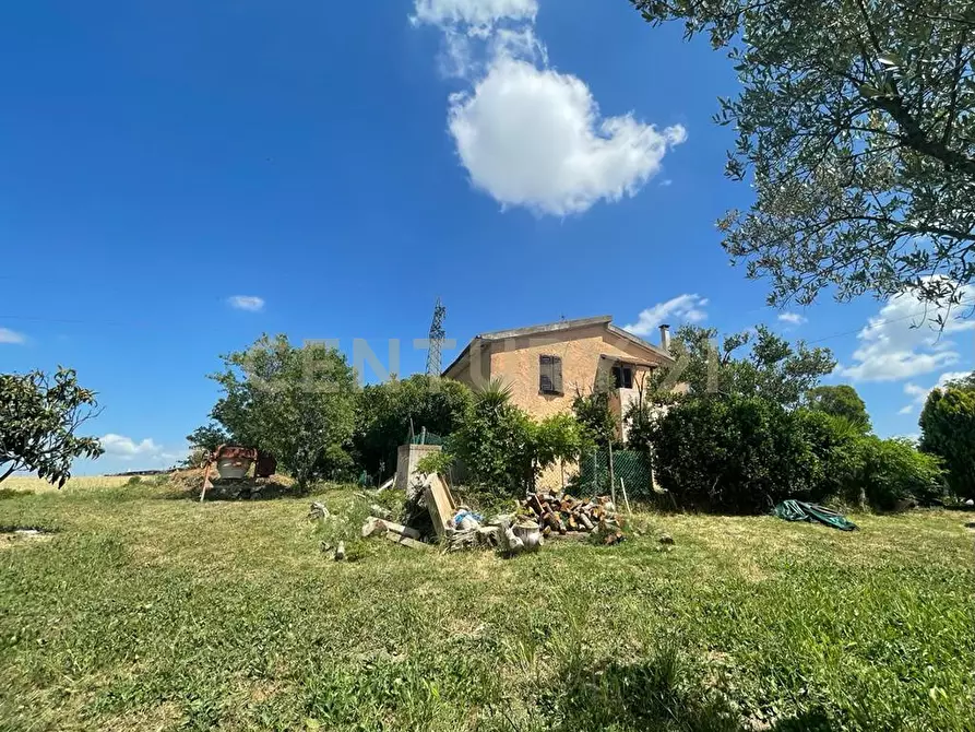 Immagine 1 di Rustico / casale in vendita  in localià quercealta a Manciano