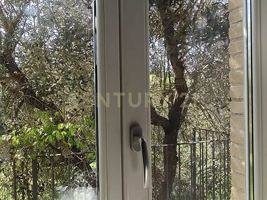 Immagine 34 di Rustico / casale in vendita  in località spinicci snc a Manciano