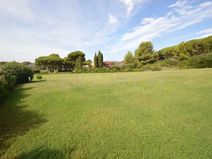 Immagine 22 di Appartamento in vendita  a Castiglione Della Pescaia