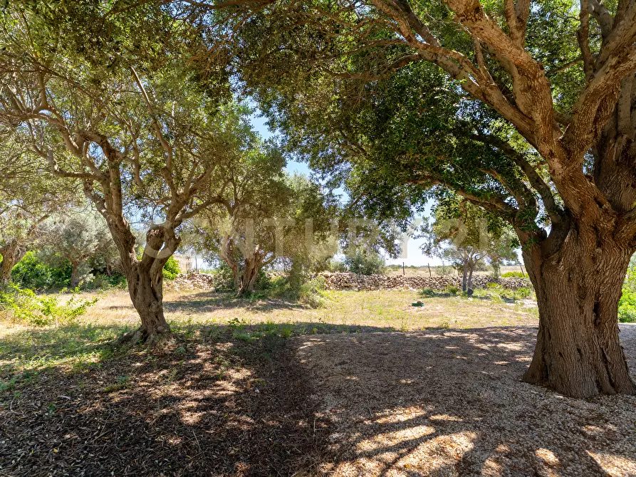 Immagine 49 di Villa in vendita  in Contrada Pagliarello snc a Portopalo Di Capo Passero