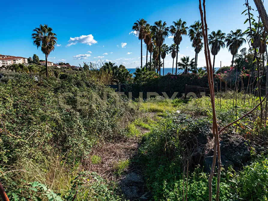 Immagine 9 di Terreno agricolo in vendita  in Via Vampolieri a Aci Castello