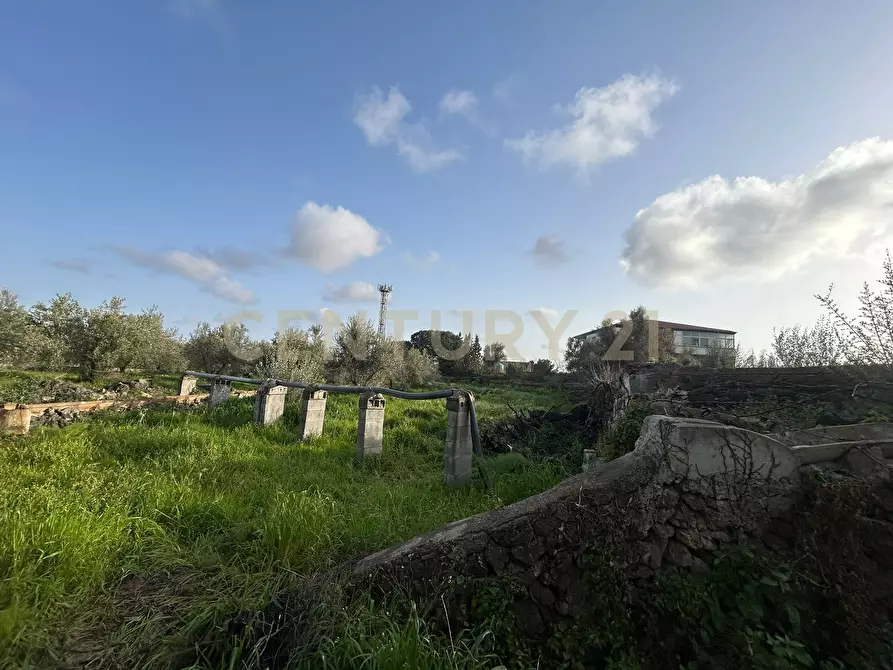 Immagine 29 di Terreno agricolo in vendita  in Via Giovanni Verga 1/A a Misterbianco