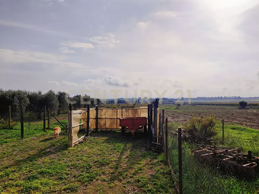 Immagine 22 di Rustico / casale in vendita  in Strada Pedemontana a Capalbio