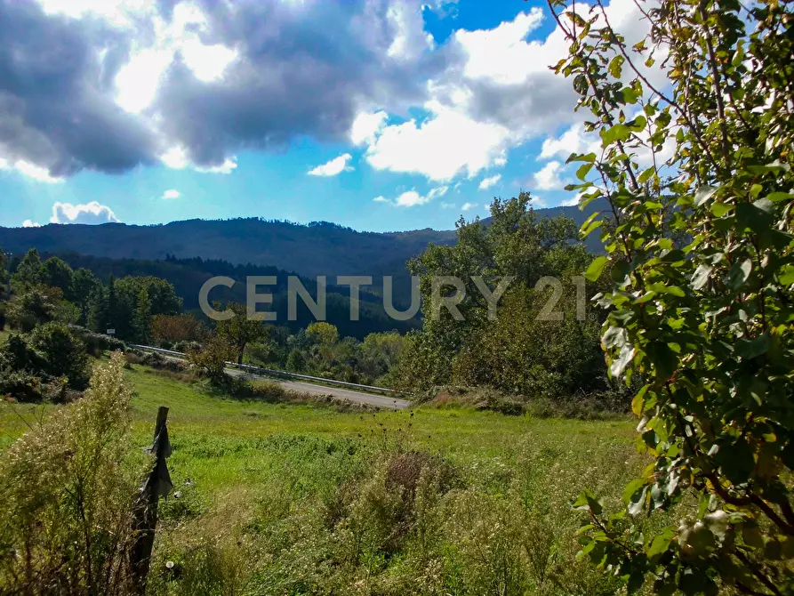 Immagine 17 di Rustico / casale in vendita  in la serra 57 a Arcidosso