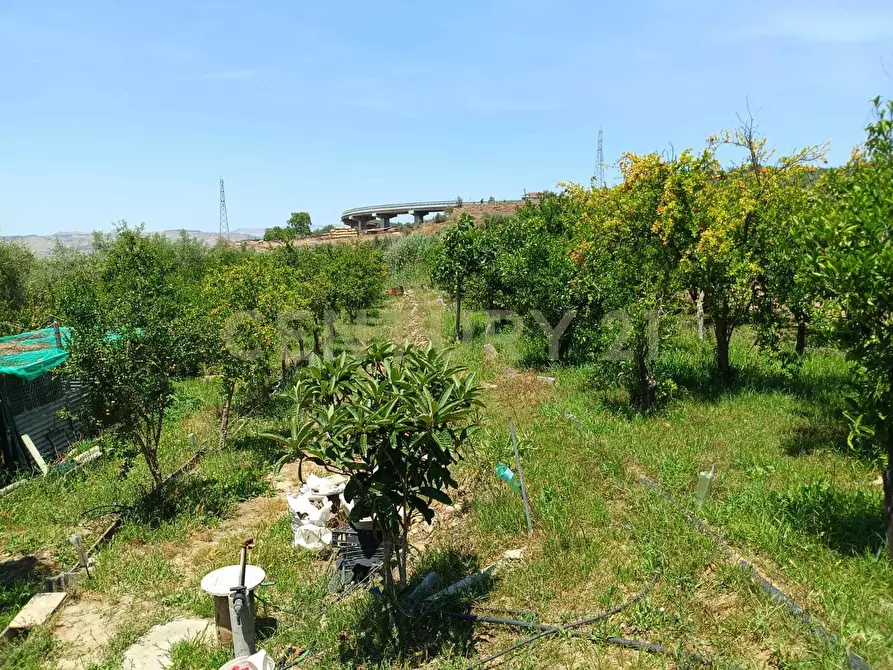 Immagine 21 di Terreno agricolo in vendita  in Contrada Agnelleria a Belpasso