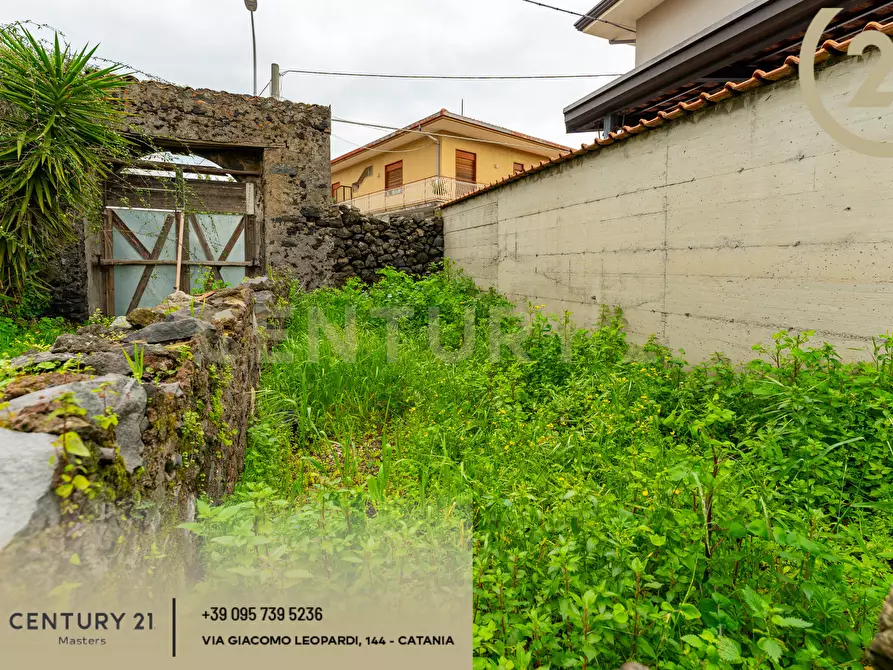 Immagine 15 di Rustico / casale in vendita  in Via Alessandro Manzoni 152 a Viagrande