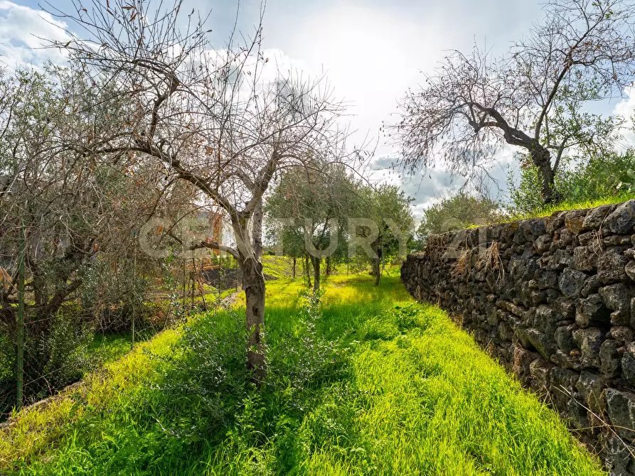 Immagine 25 di Terreno agricolo in vendita  in Via Cerza 35 a San Gregorio Di Catania