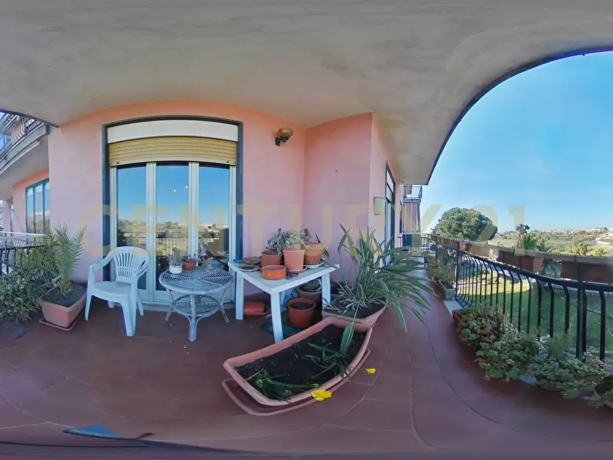 Immagine 52 di Trilocale in vendita  in Via Duca degli Abruzzi 163 a San Giovanni La Punta