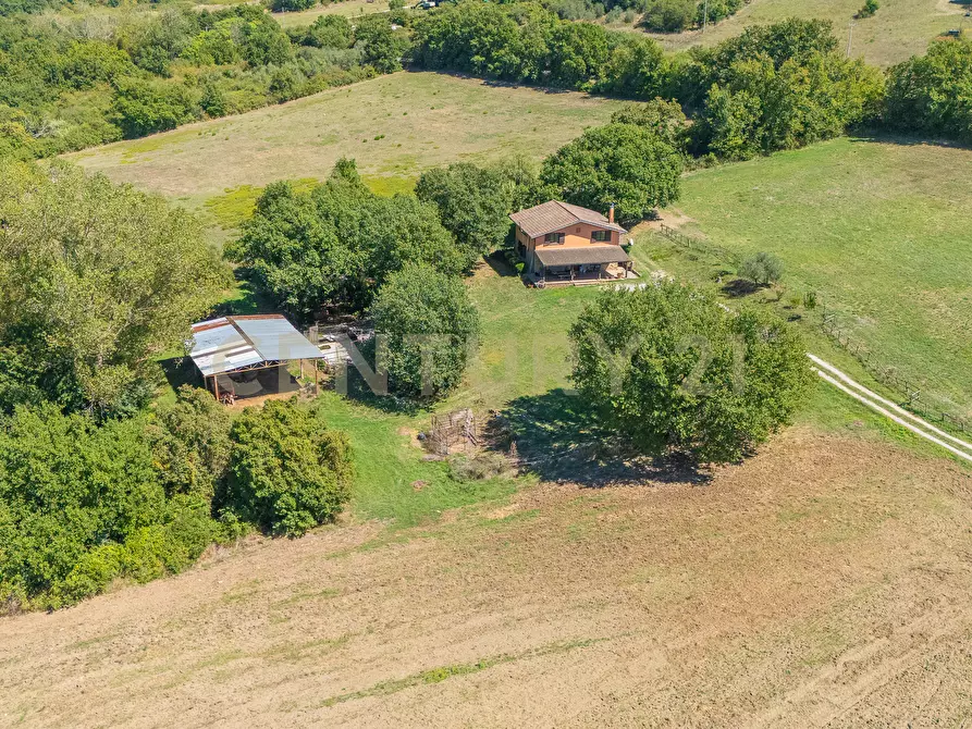 Immagine 33 di Rustico / casale in vendita  in località san quirichello a Barbarano Romano