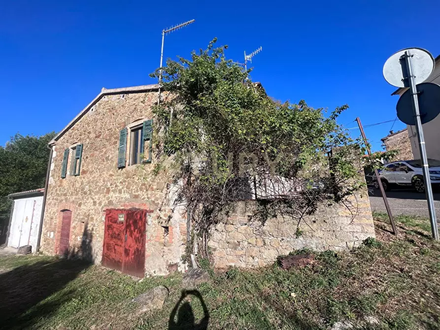 Immagine 15 di Terratetto in vendita  in Località Poggio Murella a Manciano