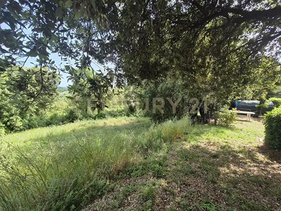 Immagine 29 di Casa bifamiliare in vendita  in località ripoli a Civitella Paganico